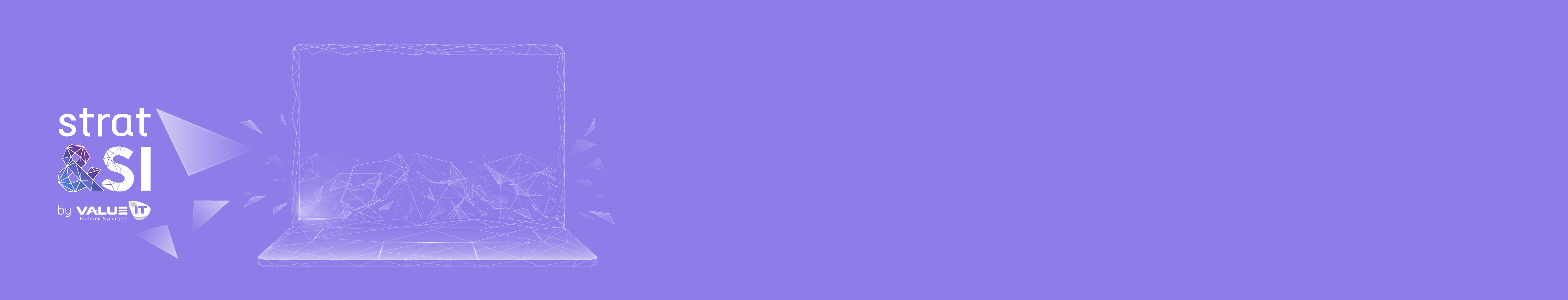 Value IT-DSI