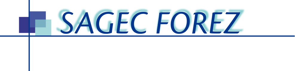 Blandine LEMOYNE Responsable DigitaleSAGEC FOREZ